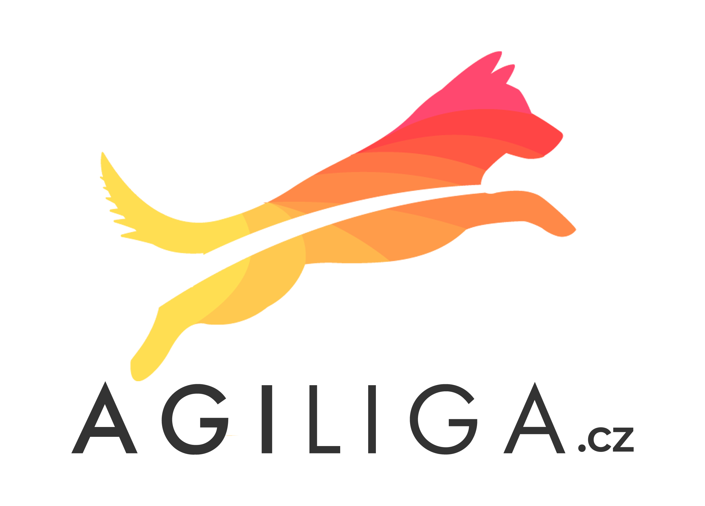 AGILIGA.cz