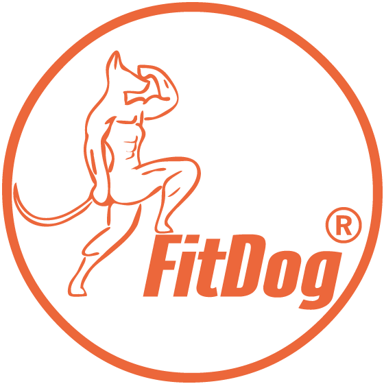 FitDog